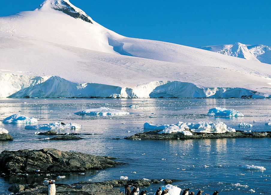 Monte Jacquinot Antártica Chilena, Los ojos del Cóndor libro